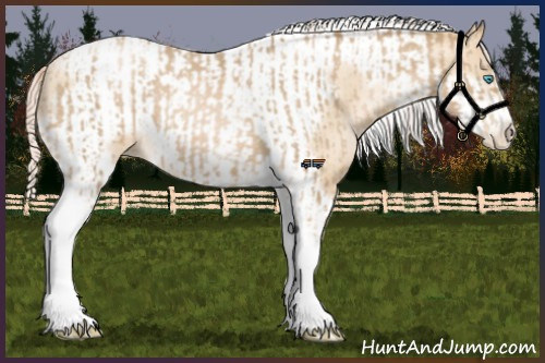 Horse Color:Chocolate Palomino Pearl Tobiano Frame and Gold Cream Champagne Pearl Tobiano Frame