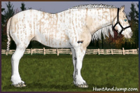 Horse Color:Chocolate Palomino Pearl Tobiano Frame  and Gold Cream Champagne Pearl Tobiano Frame 