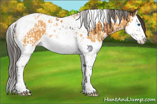 Horse Color:Bay Splash Tobiano  and Buckskin Splash Tobiano 