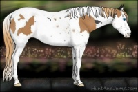 Horse Color:Platinum Liver Chestnut Splash Tobiano  and Chestnut Splash Tobiano 