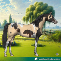 Horse Color:Brown Sabino Tobiano and Buckskin Tobiano