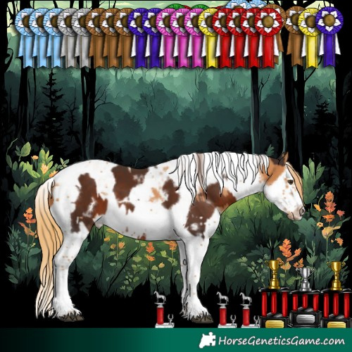 Horse Color:White Spotted Liver Chestnut Splash Tobiano Frame and Chestnut Splash Tobiano Frame