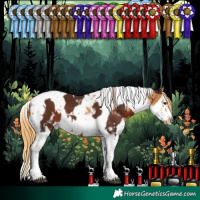 Horse Color:White Spotted Liver Chestnut Splash Tobiano Frame  and Chestnut Splash Tobiano Frame 