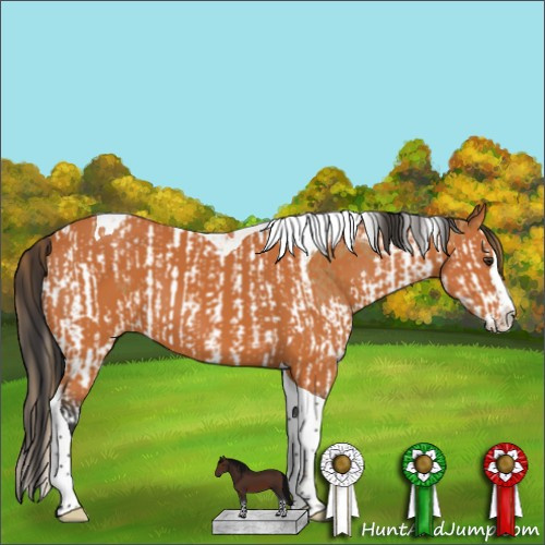 Horse Color:Chestnut Splash Tobiano  and Bay Splash Tobiano 