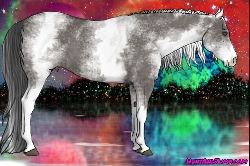 Horse Color:White Spotted Grullo 