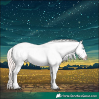 Horse Color:Platinum Grullo Snowdrop Pearl Blanket 
