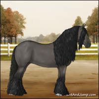 Horse Color:Gray Grullo