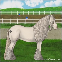 Horse Color:Smoky Creme 