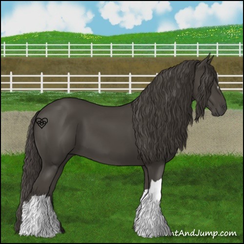 Horse Color:Smoky Black 