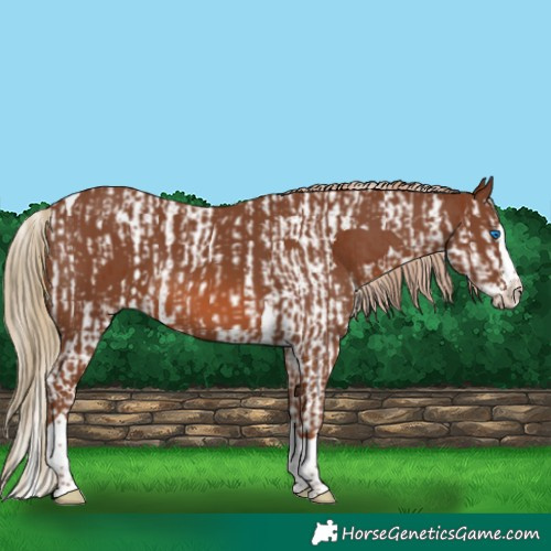 Horse Color:Chestnut Splash Tobiano  and Chestnut Splash Tobiano 