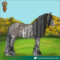 Horse Color:Brown Dun Sabino Splash Tobiano and Grullo Splash