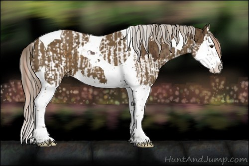 Horse Color:Liver Chestnut Splash Tobiano  and Chocolate Palomino Splash Tobiano 