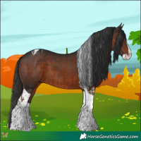 Horse Color:Liver Chestnut Splash Tobiano  and Brown Splash Tobiano 