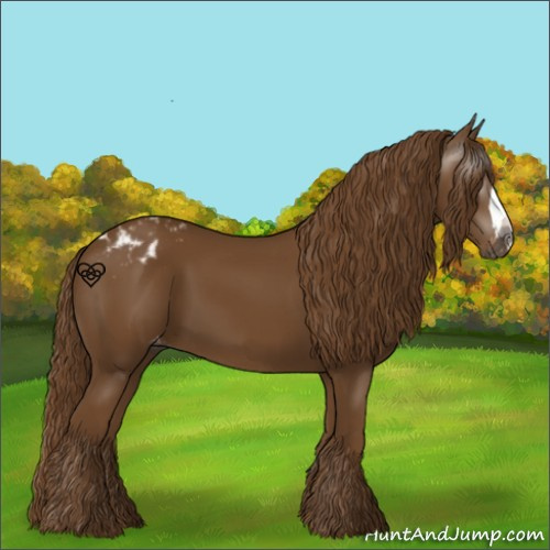 Horse Color:Gray Chestnut Blanket