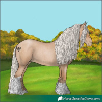 Horse Color:Silver Blue Roan Pearl Tobiano 
