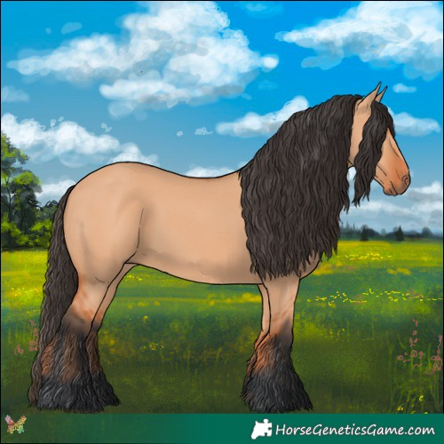Horse Color:Bay Dun