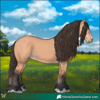 Horse Color:Bay Dun