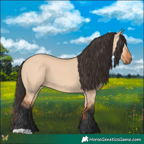 Horse Color:Bay Dun