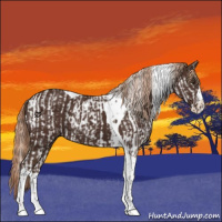 Horse Color:Liver Chestnut Splash Tobiano  and Liver Chestnut Splash Tobiano 