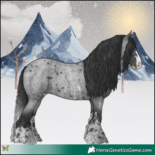 Horse Color:Blue Roan Sabino Splash  and Blue Roan Sabino Splash Rabicano 