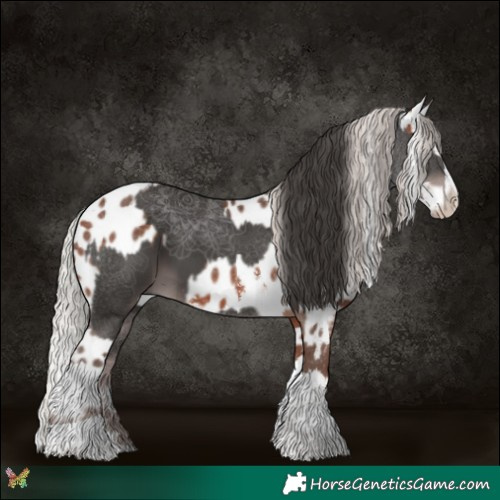 Horse Color:Platinum Liver Chestnut Splash Tobiano  and Silver Bay Sabino Splash Near Leopard 