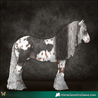 Horse Color:Platinum Liver Chestnut Splash Tobiano  and Silver Bay Sabino Splash Near Leopard 