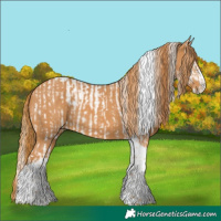 Horse Color:Chestnut Splash Tobiano  and Chestnut Splash Tobiano 