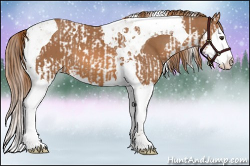 Horse Color:Chestnut Splash Tobiano  and Chestnut Splash Tobiano 