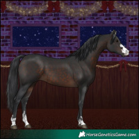 Horse Color:Brown 