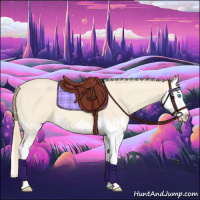 Horse Color:Cremello Splash  and Perlino Splash 
