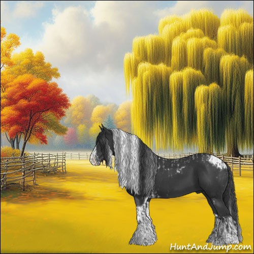 Horse Color:Black Tobiano and Black Splash Tobiano