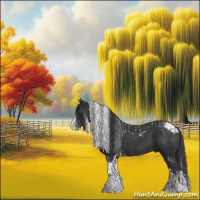 Horse Color:Black Tobiano  and Black Splash Tobiano 