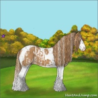 Horse Color:Chestnut Splash Tobiano  and Chestnut Splash Tobiano 