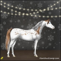 Horse Color:Chestnut Splash Tobiano  and Chestnut Splash Tobiano 