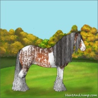 Horse Color:Bay Splash Tobiano  and Bay Splash Tobiano 