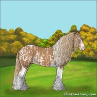 Horse Color:Chestnut Splash Tobiano  and Chestnut Splash Tobiano 