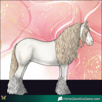 Horse Color:Buckskin Roan Pearl Dun  and Buckskin Roan Pearl Dun Splash 