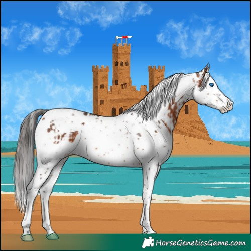 Horse Color:Bay Splash Tobiano  and Bay Splash Tobiano 