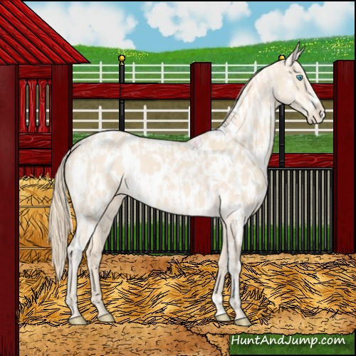 Horse Color:Perlino Near Leopard and Perlino Frame Near Leopard