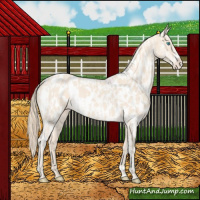 Horse Color:Perlino Near Leopard and Perlino Frame Near Leopard