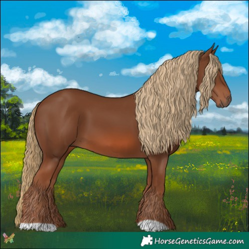 Horse Color:Chestnut 