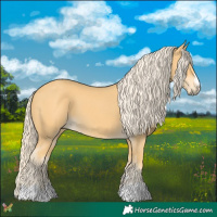 Horse Color:Palomino 