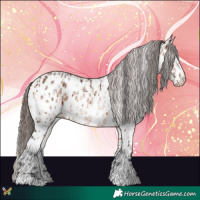 Horse Color:Bay Near Leopard  and White Spotted Bay Near Leopard 