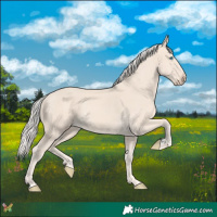 Horse Color:Cremello 