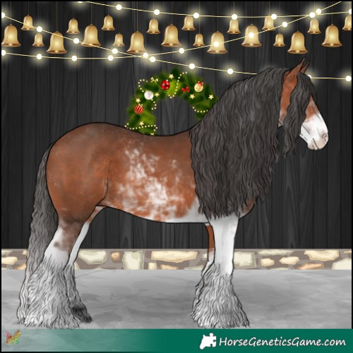Horse Color:Bay Sabino