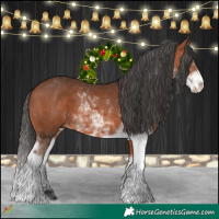 Horse Color:Bay Sabino 
