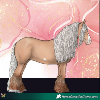 Horse Color:Silver Amber Champagne Frame