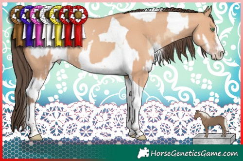 Horse Color:Gold Champagne Mushroom Splash Tobiano  and Amber Champagne Splash Tobiano 