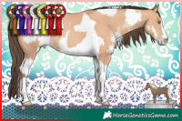 Horse Color:Gold Champagne Mushroom Splash Tobiano and Amber Champagne Splash Tobiano
