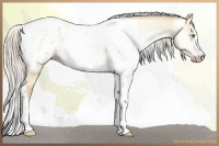 Horse Color:Gray Silver Amber Cream Champagne Roan Dun Splash Tobiano Frame Appaloosa Rabicano 